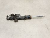 Rear shock absorber with coil spring