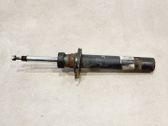 Front shock absorber with coil spring