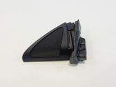 Front door trim (molding)