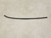 Rear side glass trim