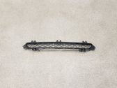 Front bumper upper radiator grill