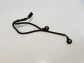 Sensor de petardeo del motor