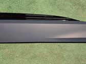Front door trim (molding)