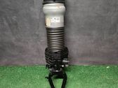 Front shock absorber/damper