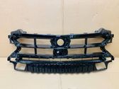 ACC Distronic radar sensor grill/trim