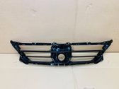 ACC Distronic radar sensor grill/trim