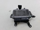 Engine control unit/module ECU