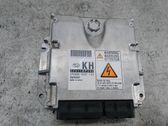 Engine control unit/module ECU