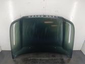 Motorhaube