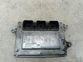 Engine control unit/module ECU