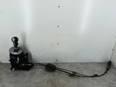 Gear shifter/selector