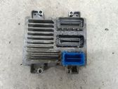 Engine control unit/module ECU