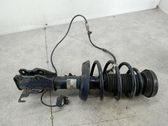 Front shock absorber/damper