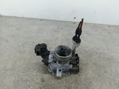 Throttle body valve