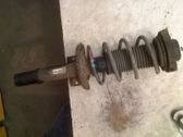 Amortiguador delantero con muelle espiral