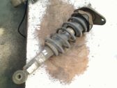 Rear shock absorber with coil spring