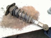 Rear shock absorber with coil spring