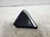 Fender trim (molding)