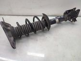 Rear shock absorber with coil spring