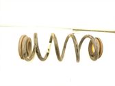 Rear coil spring
