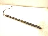 Tailgate/trunk strut/damper