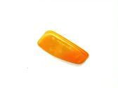 Front fender indicator light