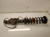 Rear shock absorber/damper