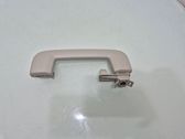 Rear interior roof grab handle