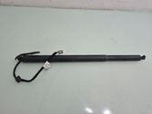 Tailgate/trunk strut/damper