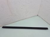 Front door glass trim molding