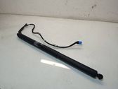Tailgate/trunk strut/damper