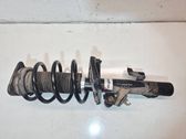 Front shock absorber with coil spring