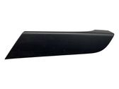 Other front door trim element