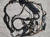 Front door wiring loom