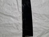 Rear door glass trim molding