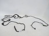 Other wiring loom