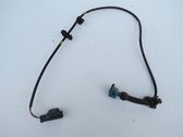 Other wiring loom