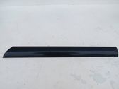 Rear door trim (molding)