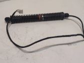 Tailgate/trunk strut/damper