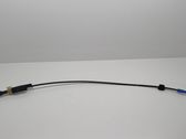 Rear door cable line