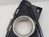 Front fog light trim/grill