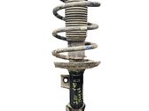 Front shock absorber with coil spring