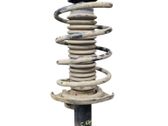 Front shock absorber with coil spring