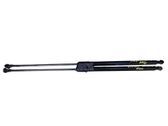 Tailgate/trunk strut/damper