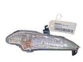 Front fender indicator light