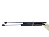 Tailgate/trunk strut/damper