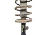 Front shock absorber with coil spring