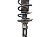 Front shock absorber with coil spring