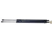Tailgate/trunk strut/damper