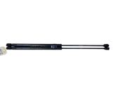 Tailgate/trunk strut/damper
